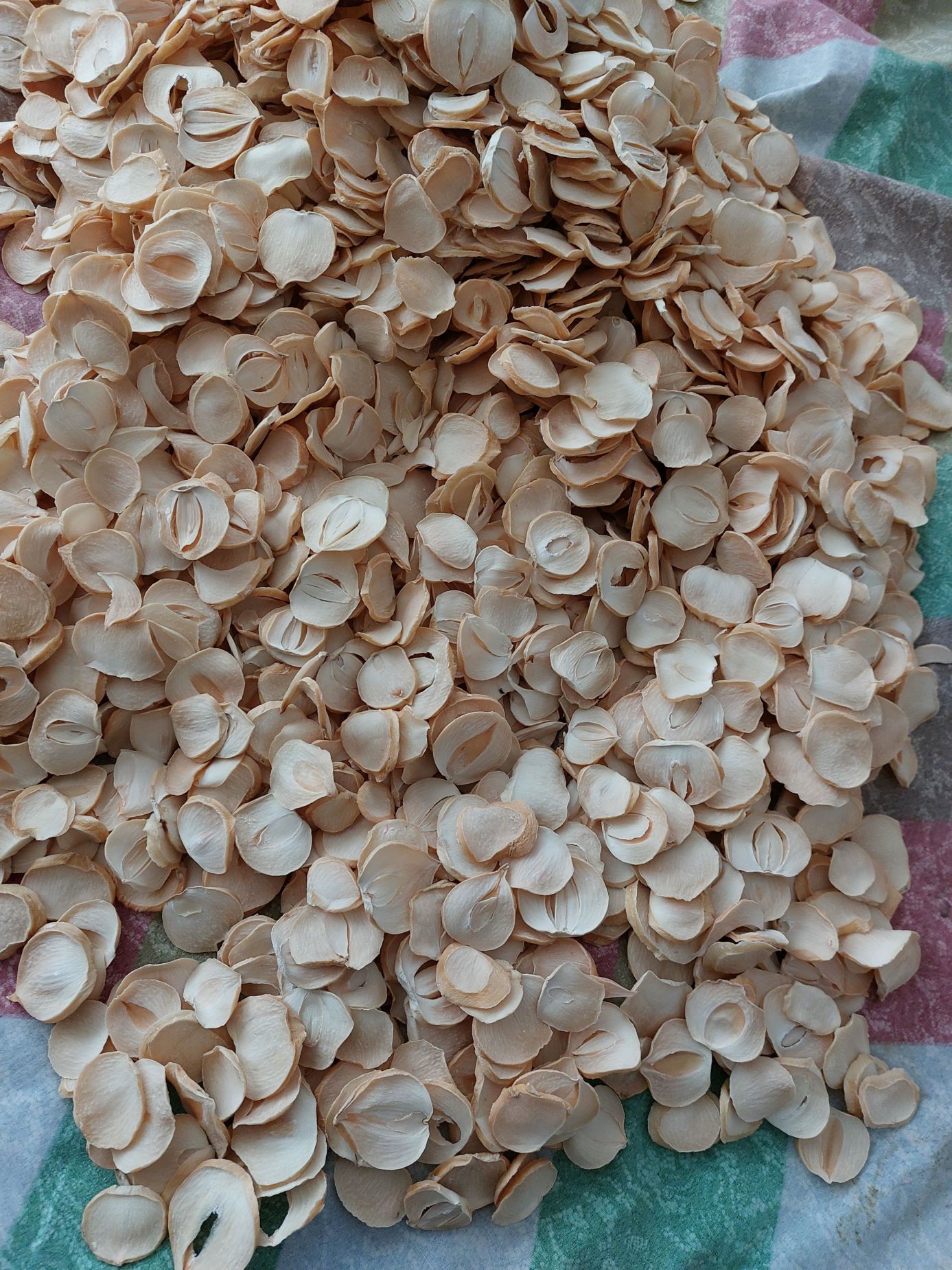 فروش موسیر خشک کوهی